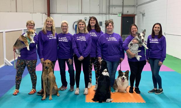 Images A+ Dog Training
