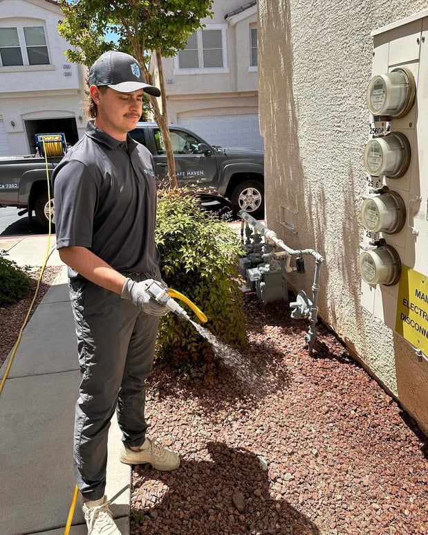 Images Safe Haven Pest Control