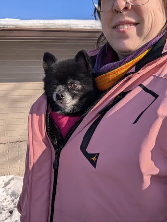 Images VCA Avondale Veterinary Hospital