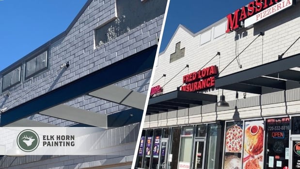 Images Elk Horn Painting - Denver