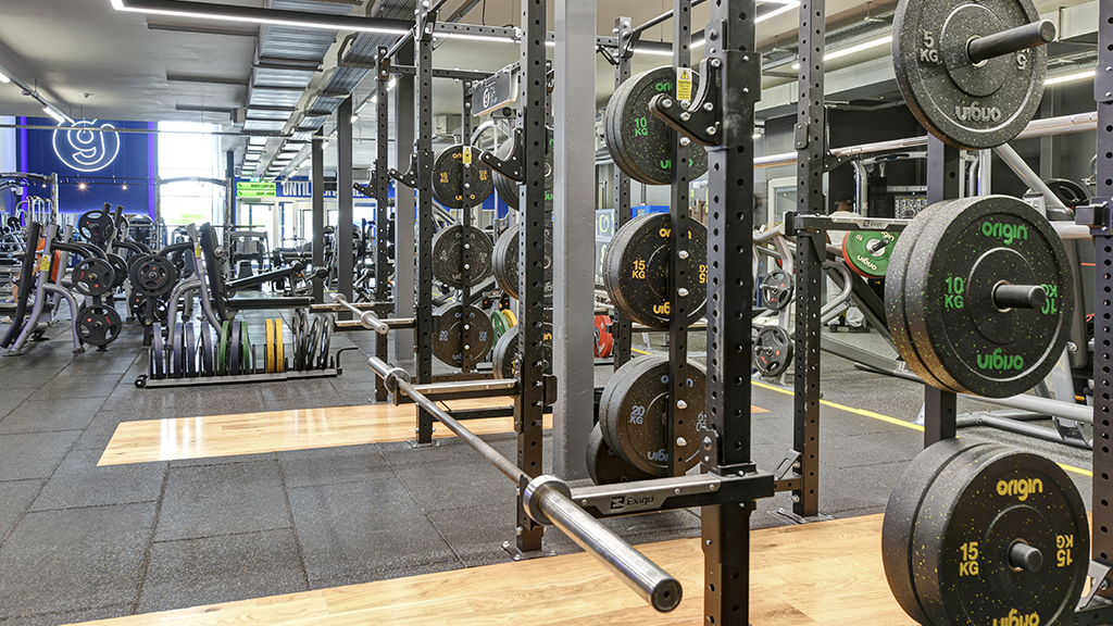 Free Weights Area