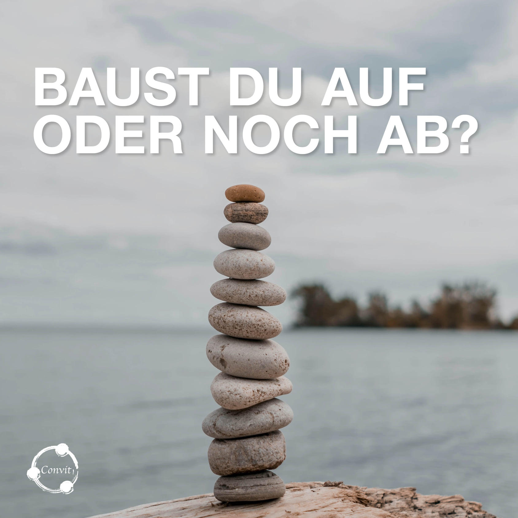 Convit Central GmbH, Bernstrasse 24 in Rothrist