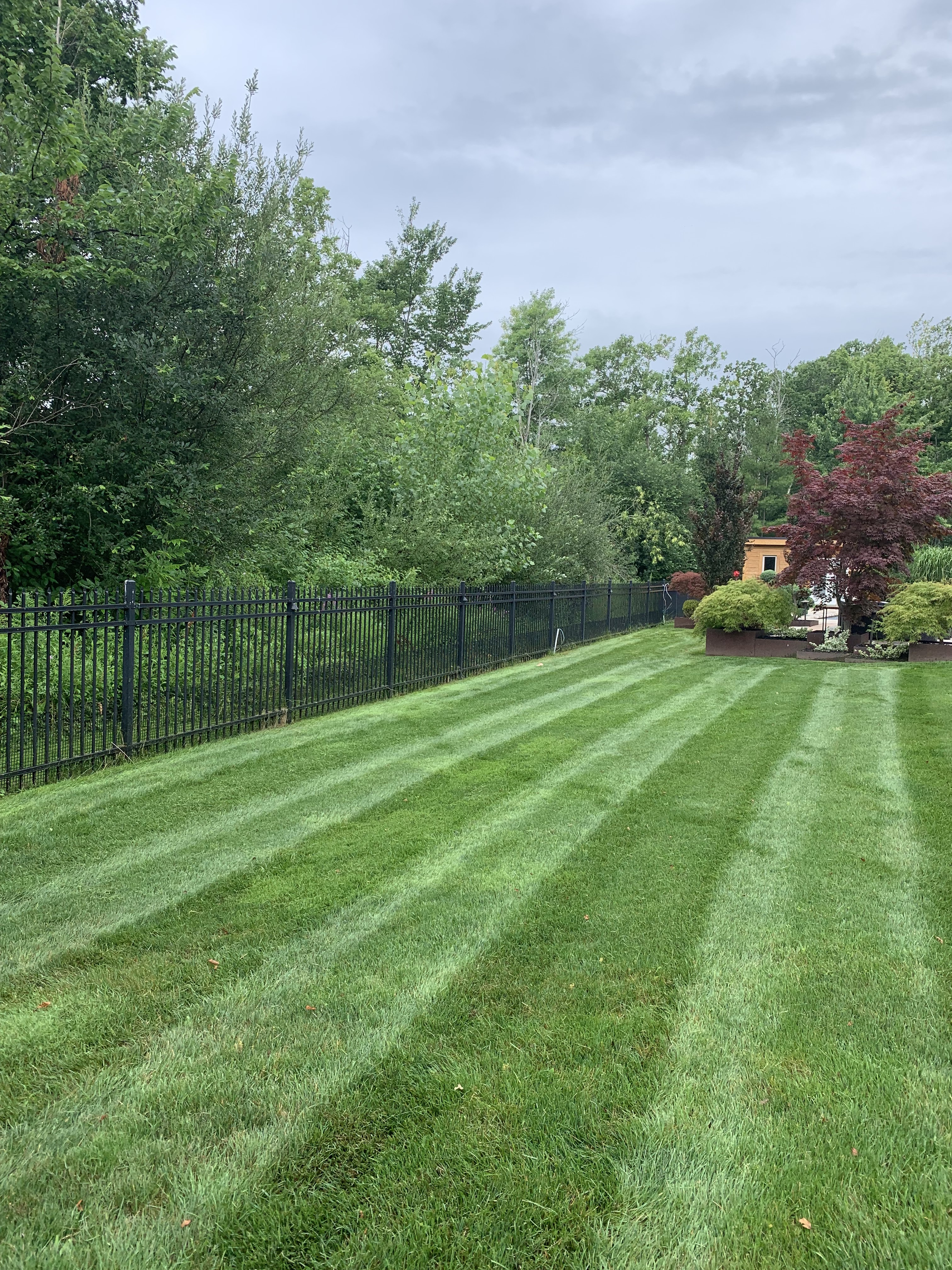 Images VanDuzen Lawn Care