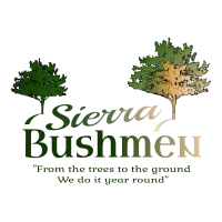 Sierra Bushmen