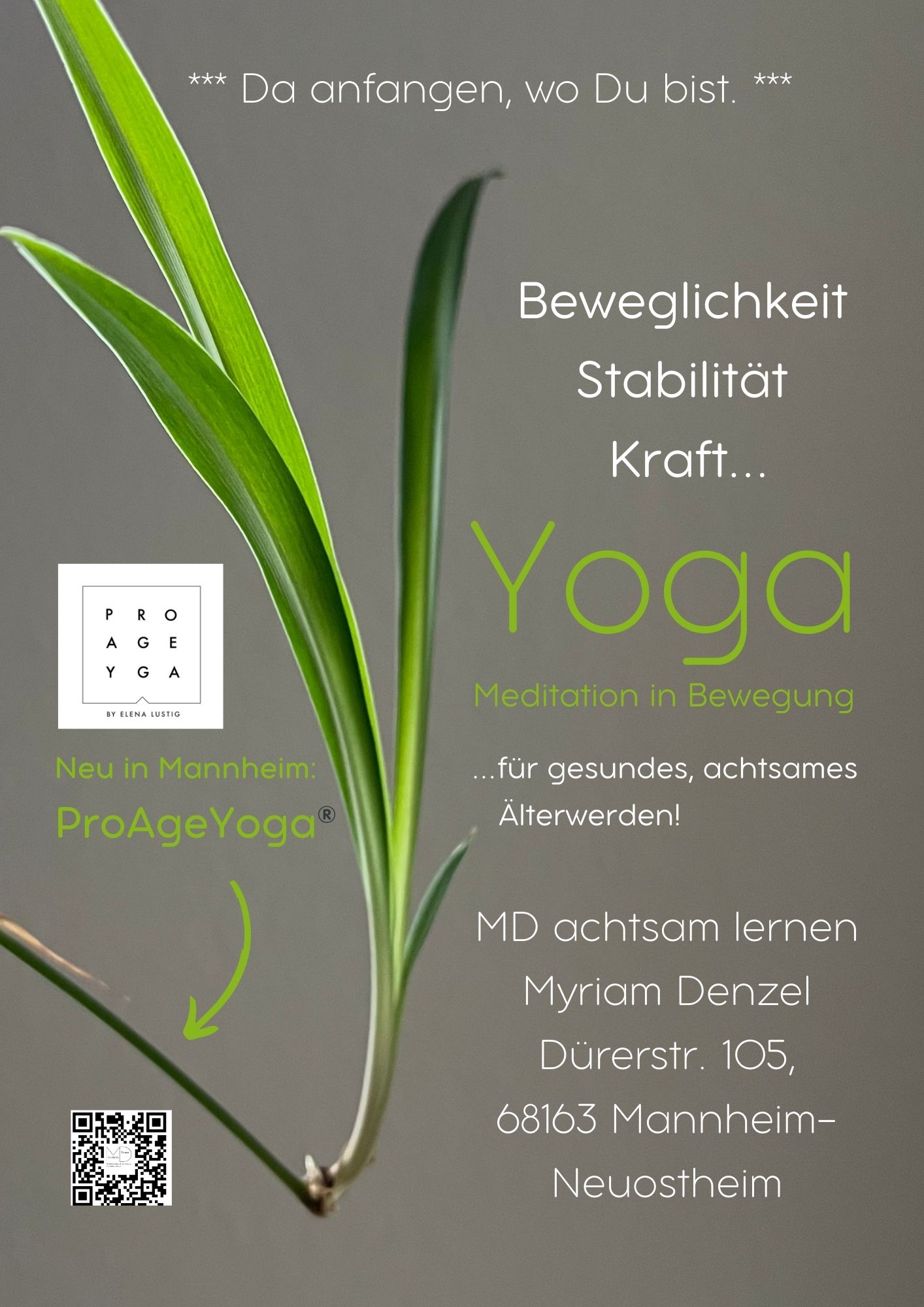 Bilder MD achtsam lernen