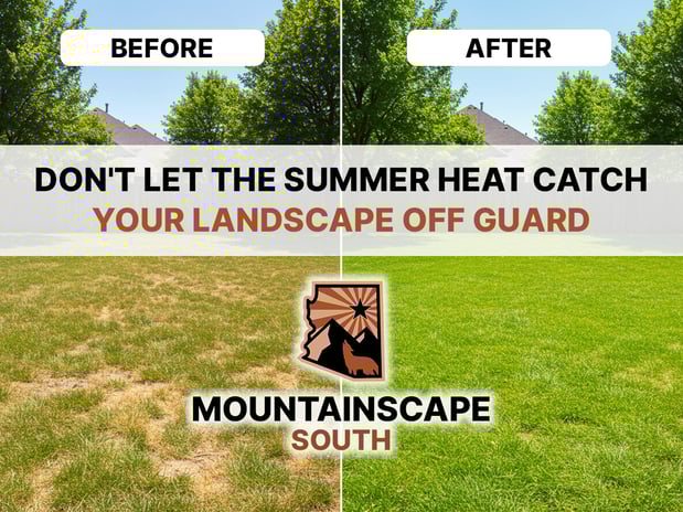 Images Mountainscape South, Inc.