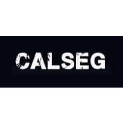 Calseg Logo