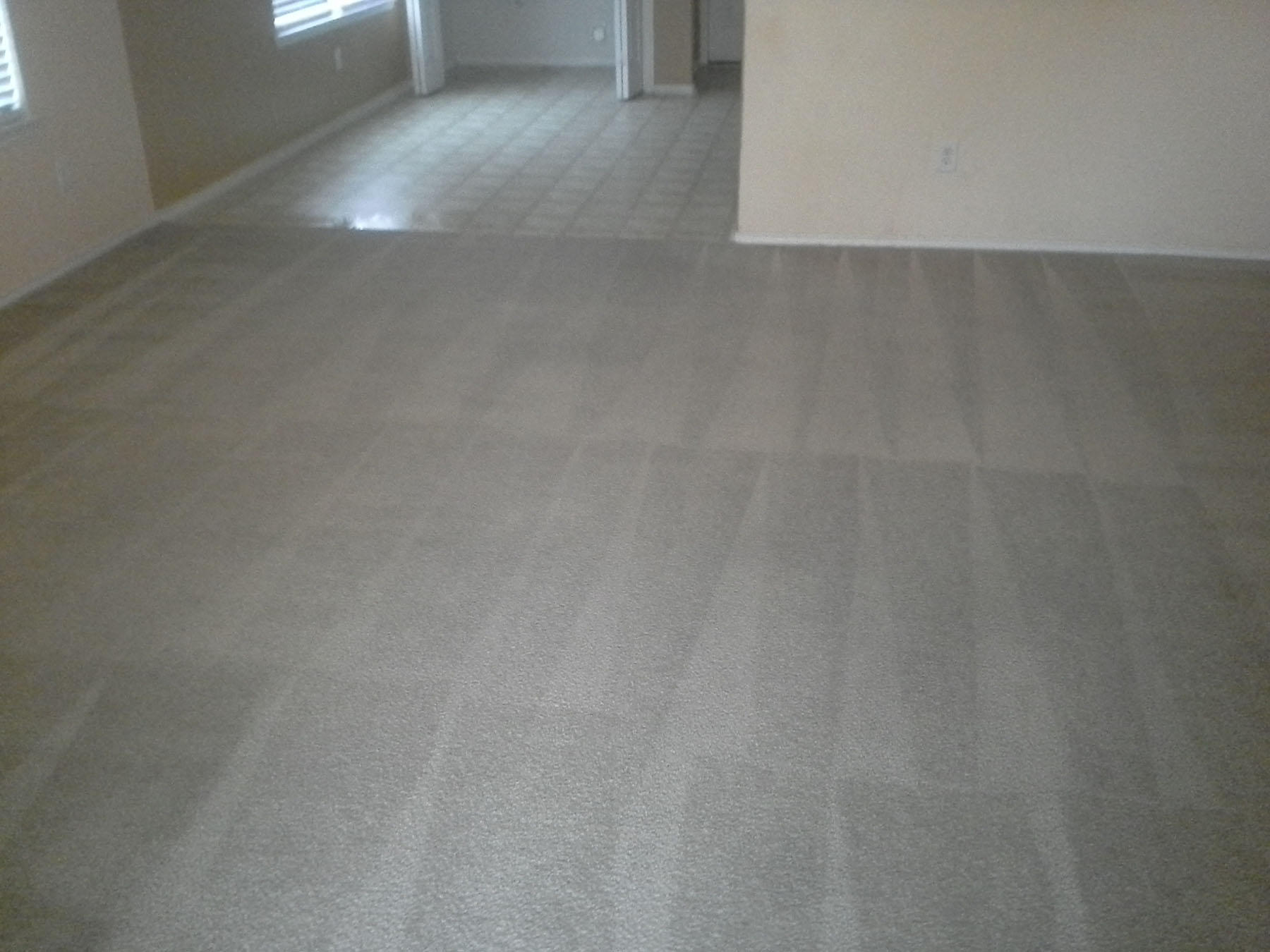 Image 2 | Archer Carpet and Tile Cleaning