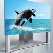 Global Audio Visual Rentals, Inc.