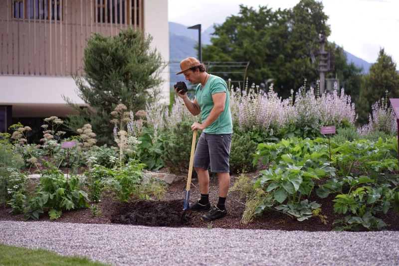 Bild 2 von David Calzone - Grünanlagen und Gartengestaltung