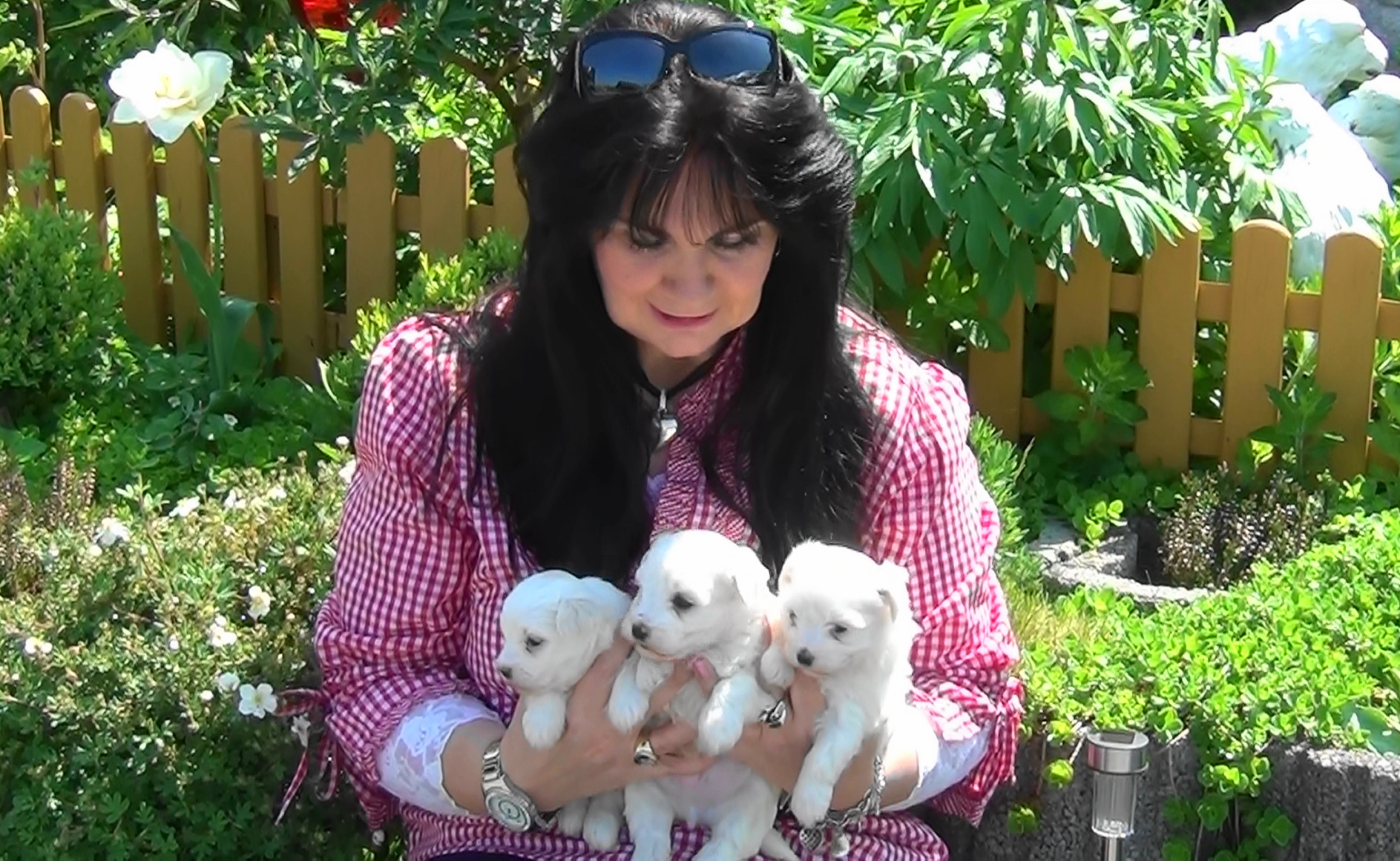 Bild 7 von DieHaustierSeite - Uschi Kasbauer