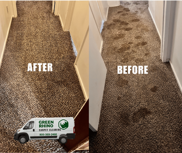 Images Green Rhino Carpet Cleaning