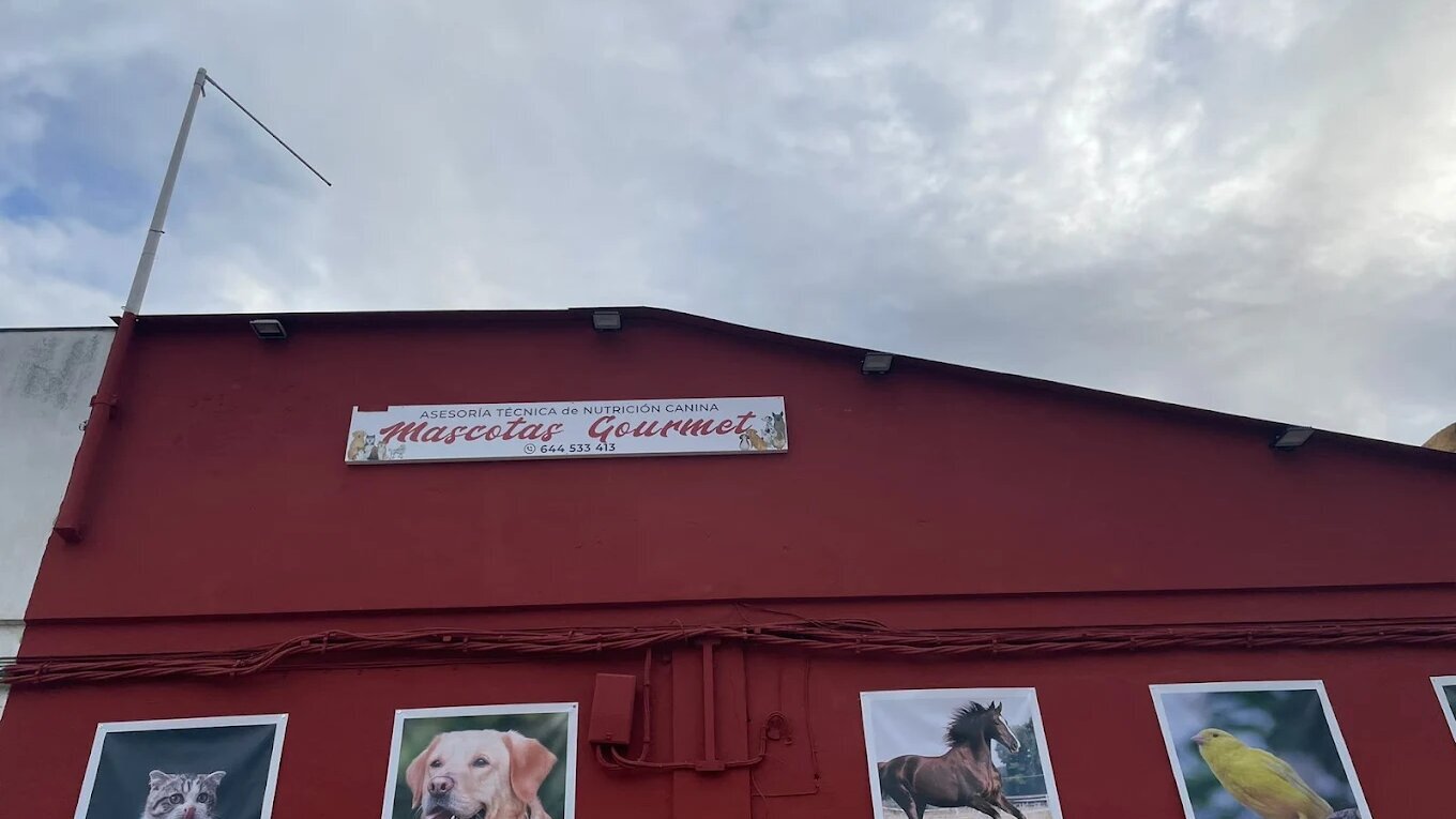 Images Mascotas gourmet