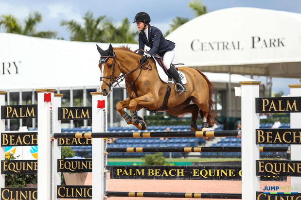Images Palm Beach Equine Clinic