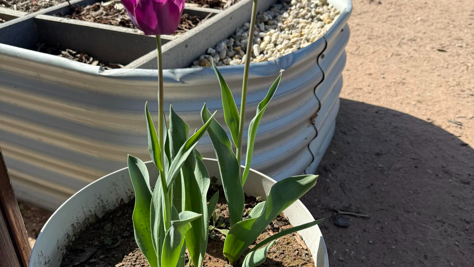 Images Mildura Garden Supplies