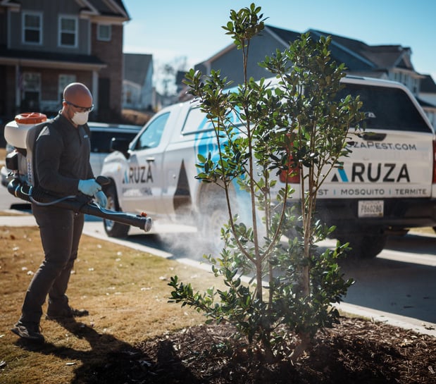 Images Aruza Pest Control