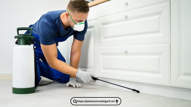 Images Pest Control Philadelphia