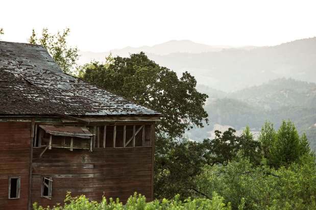 Images Theorem Vineyards