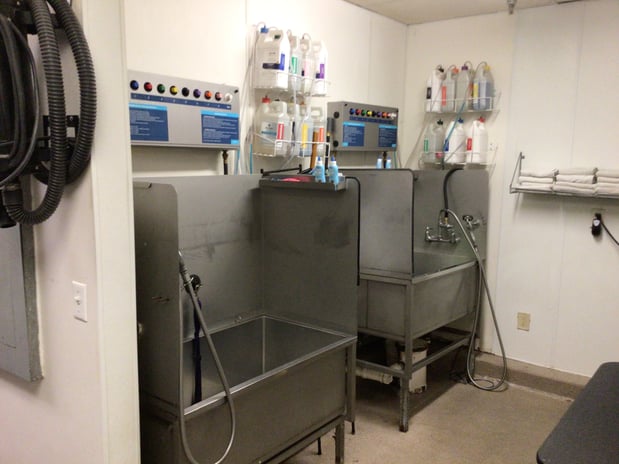 Images Petco Grooming