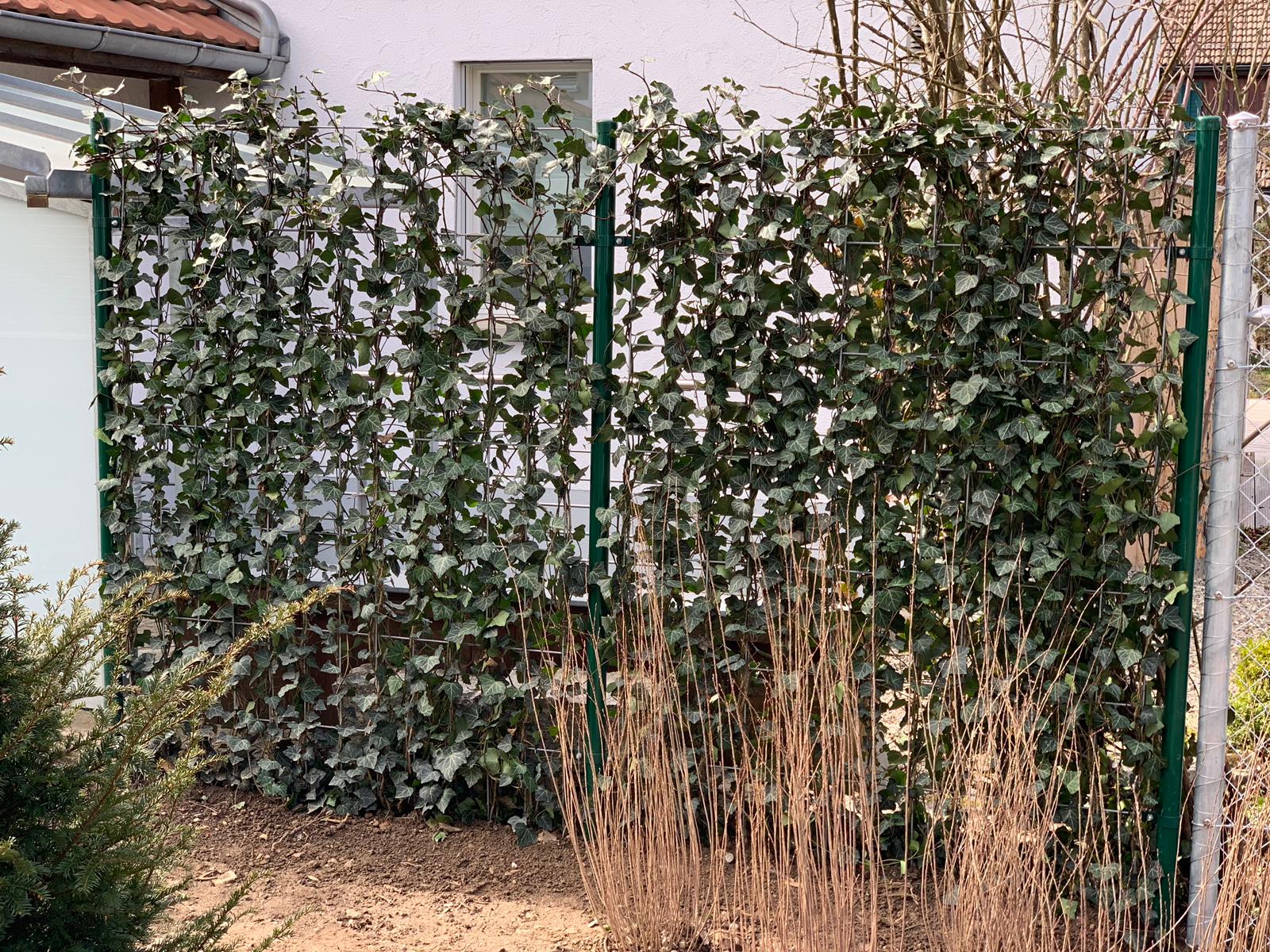 Bilder Zweifel Zaunbau GmbH