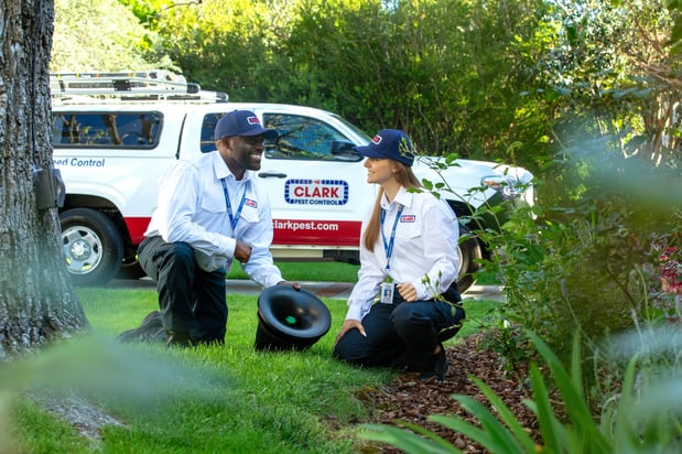 Images Clark Pest Control