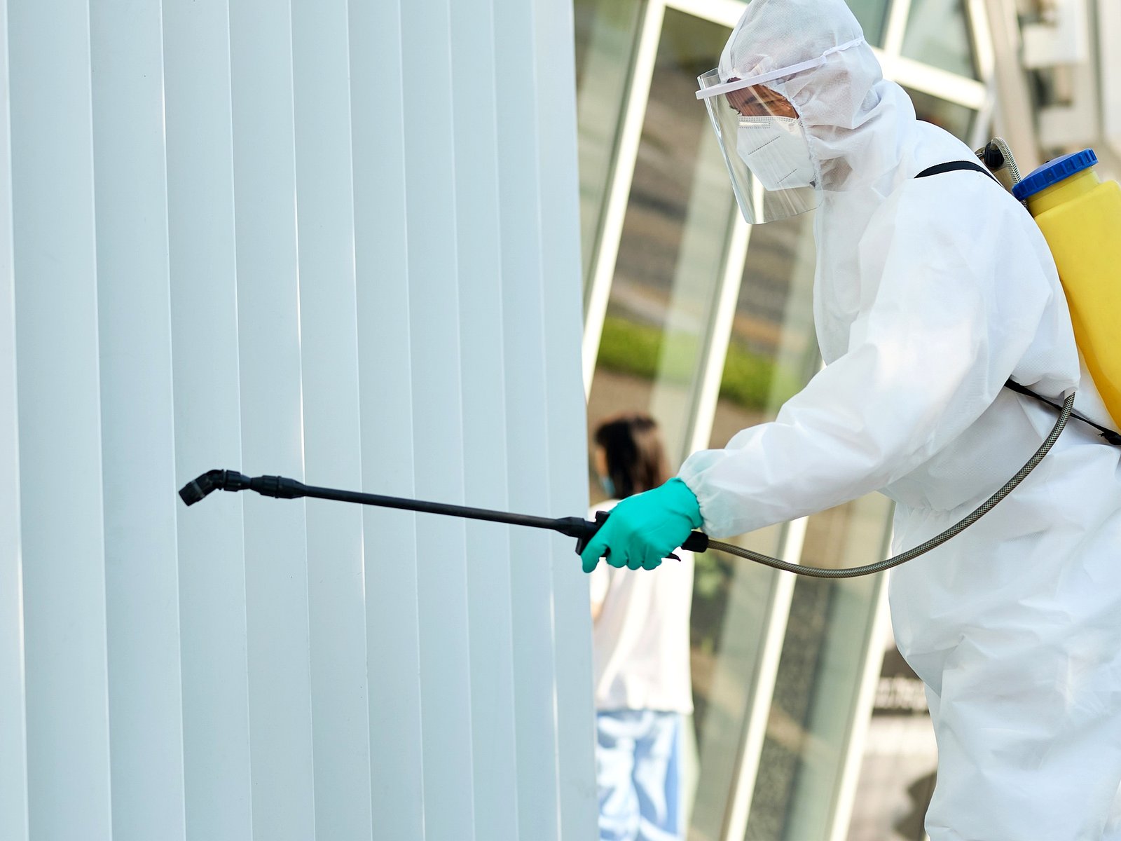 Bug Bully Rodent & Pest Control