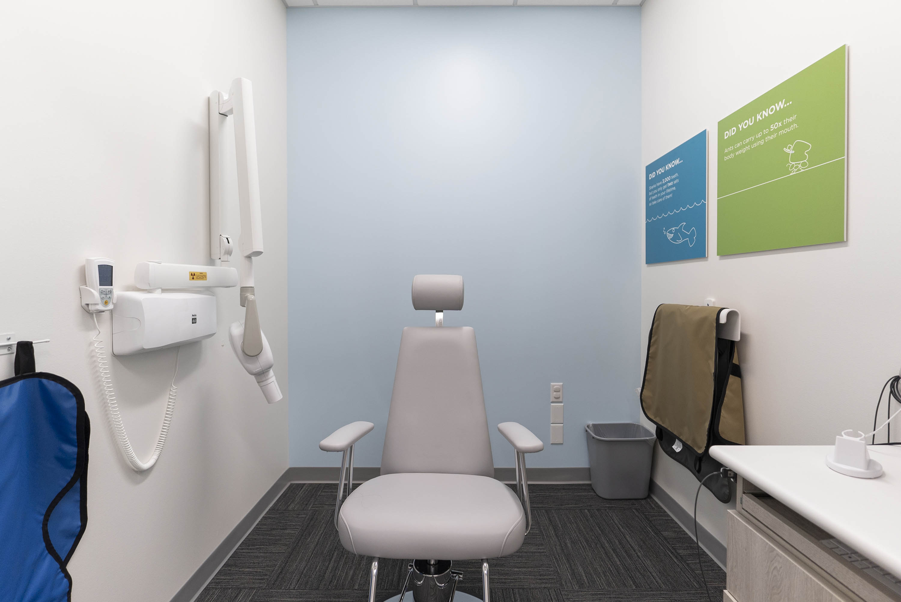 Lemon Creek Kids’ Dentistry & Orthodontics Image