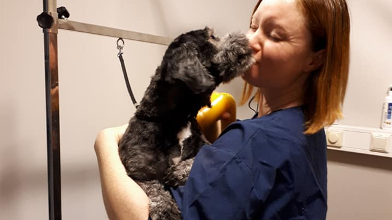 Images Glåmdal Dyreklinikk AS