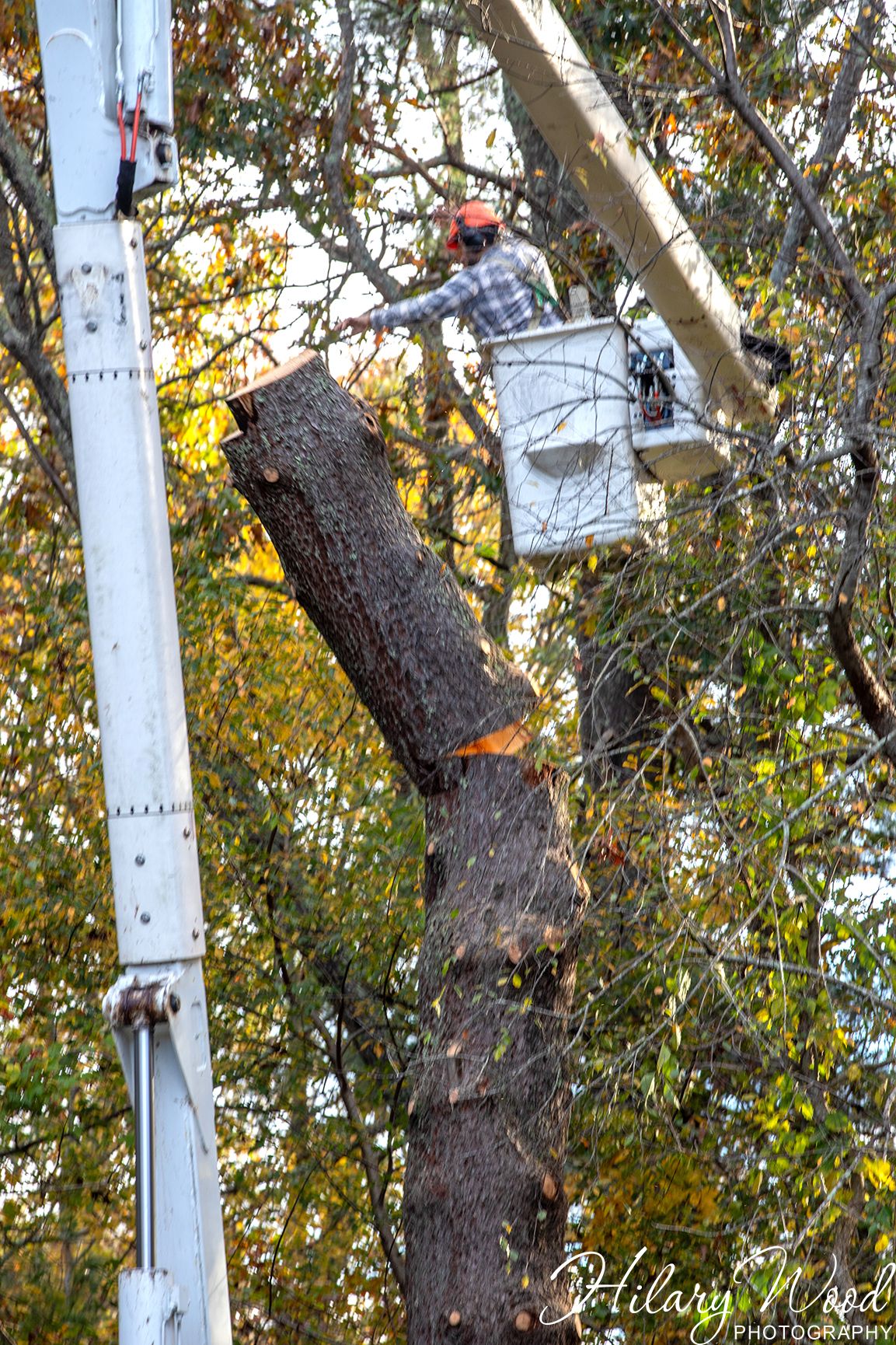 Medeiros Property Services Image