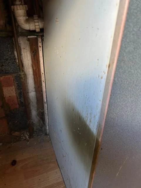 Images Ambiente FM Ltd