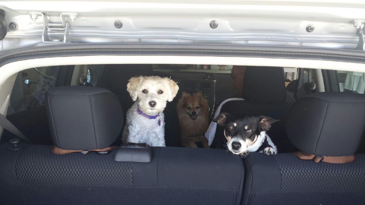 Be prepared for the road trip to visit family this holiday season &mdash; contact us to make sure your auto coverage is up to date!