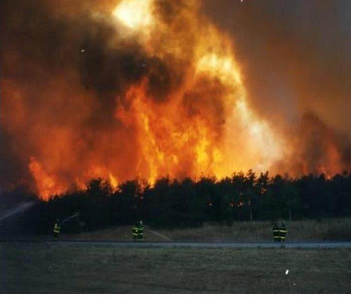 El Nino rain from this past winter have caused grasses and forests to grow. This could be a huge fire danger year with plenty of fuel for fire.

SERVPRO is ready to help cleanup smoke and soot fallout from wildfires that could damage houses and structures.