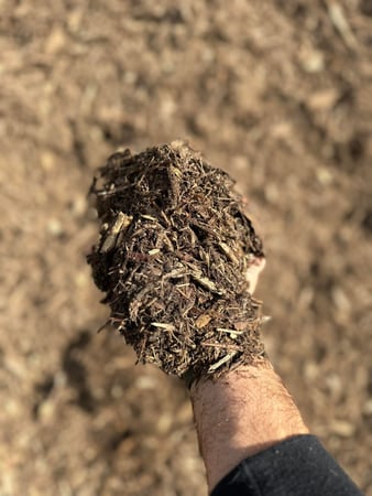 Images Tree Tech of Louisiana