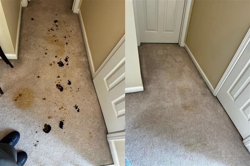 Images Voda Cleaning & Restoration