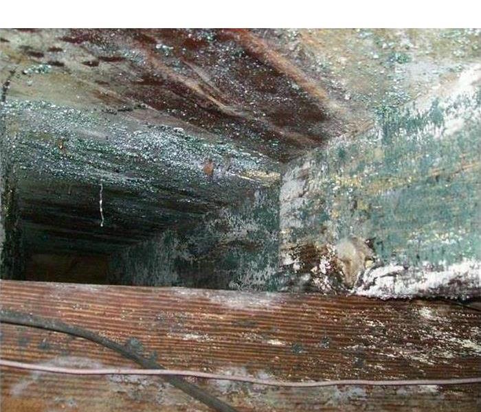 Both. In this photo the support beams (floor joists) are contaminated with dry rot and mold. Dry rot is member of the Fungi family that "eats" wood by sucking the moisture from the wood, causing it to loss it's density and crumble. Mold often grows along side dry rot. Mold puts out gases that produce odors and can pose potential health issues to humans. When you see dry rot or mold it needs to be removed.
