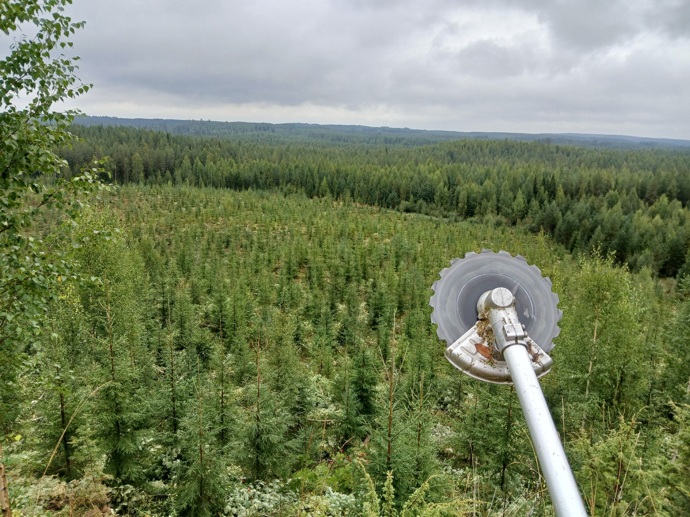 Images SisuForest Oy