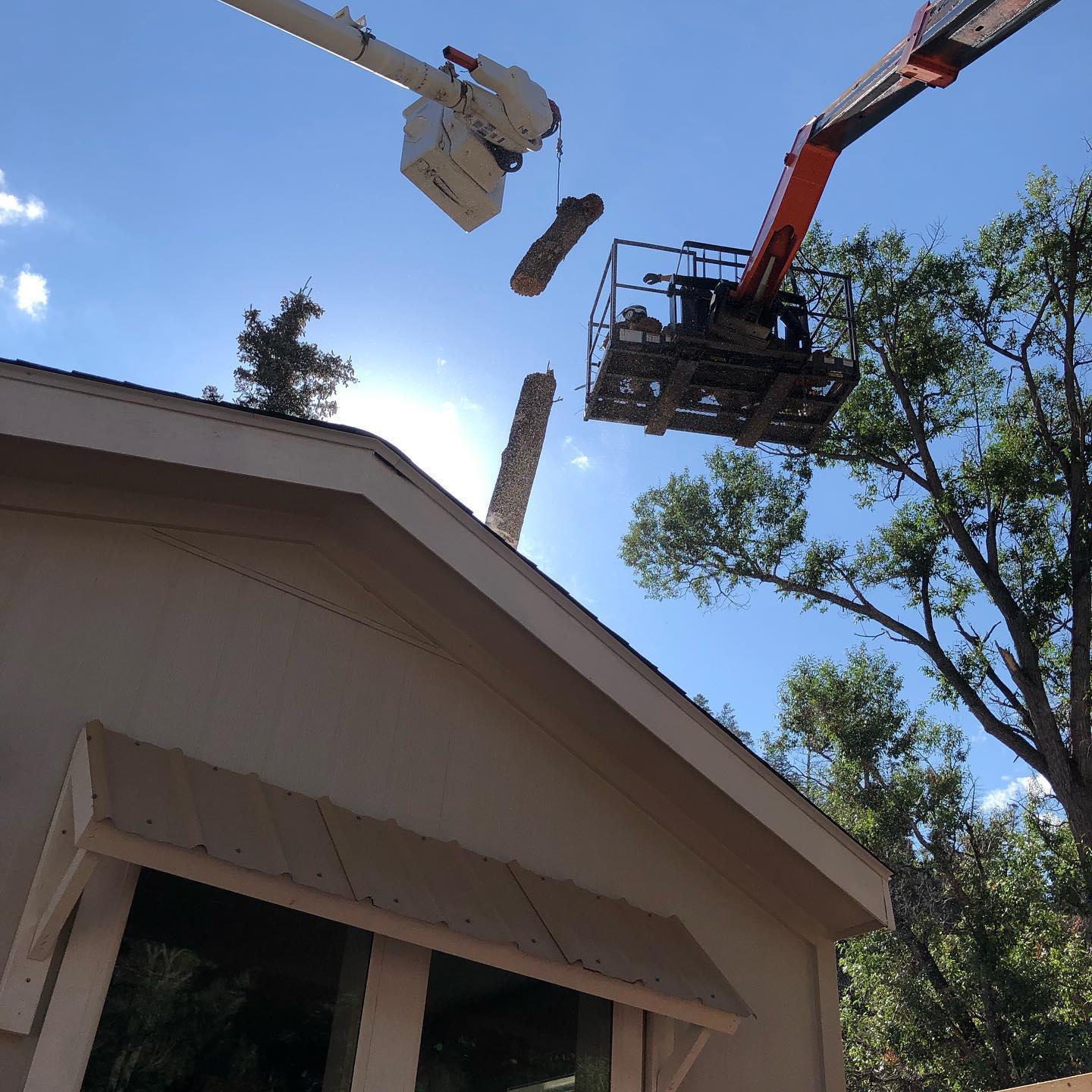 Wilson's Tree Service is a tree removal service company in Red River, NM.