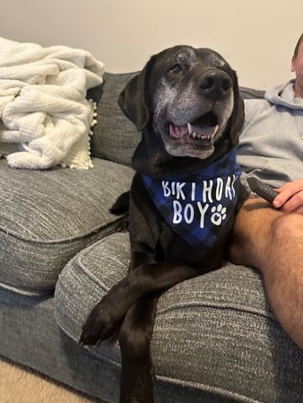 Images Michelle Belesky - State Farm Insurance Agent