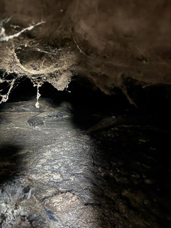 Images Rutman Restoration
