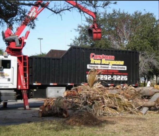 Images Custom Tree Surgeons