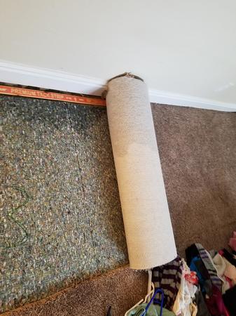 Images Five Point Restoration