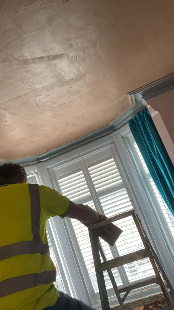 Images Verisure Damp Proofing & Plastering