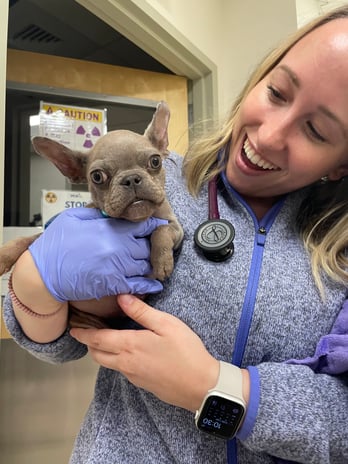 Images VCA West Los Angeles Animal Hospital