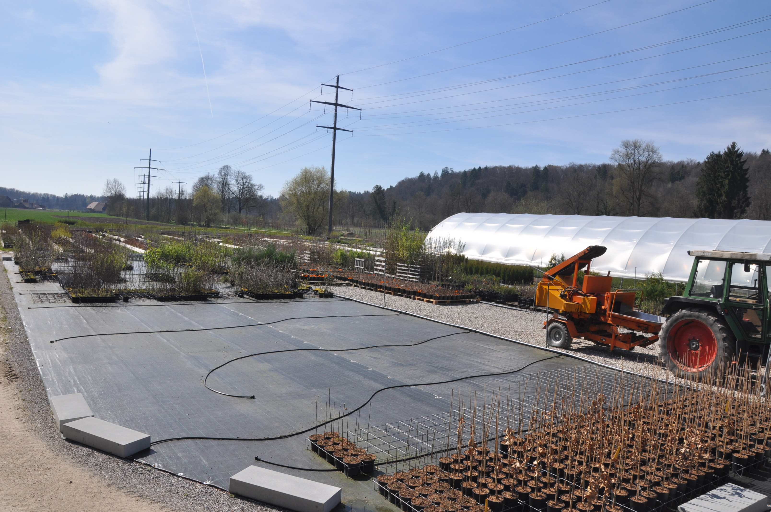 Emme Forstbaumschulen AG, Schachen 9 in Wiler b. Utzenstorf