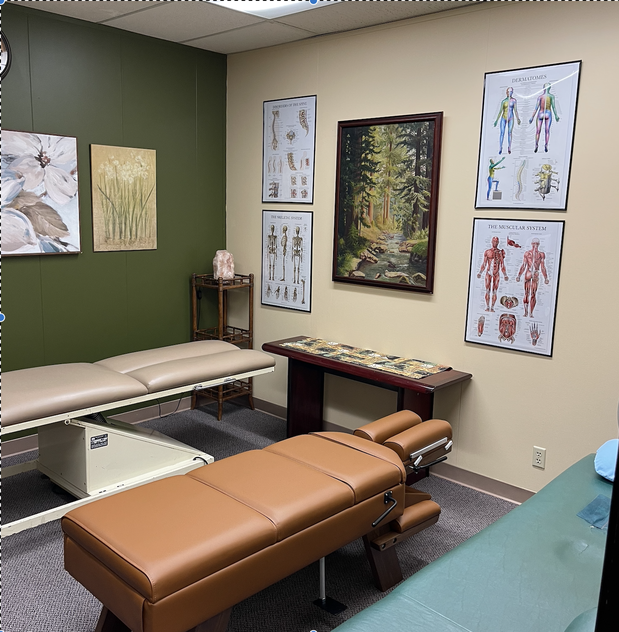 Images Golden Bear Chiropractic