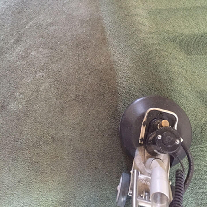 Brandon carpet cleaning