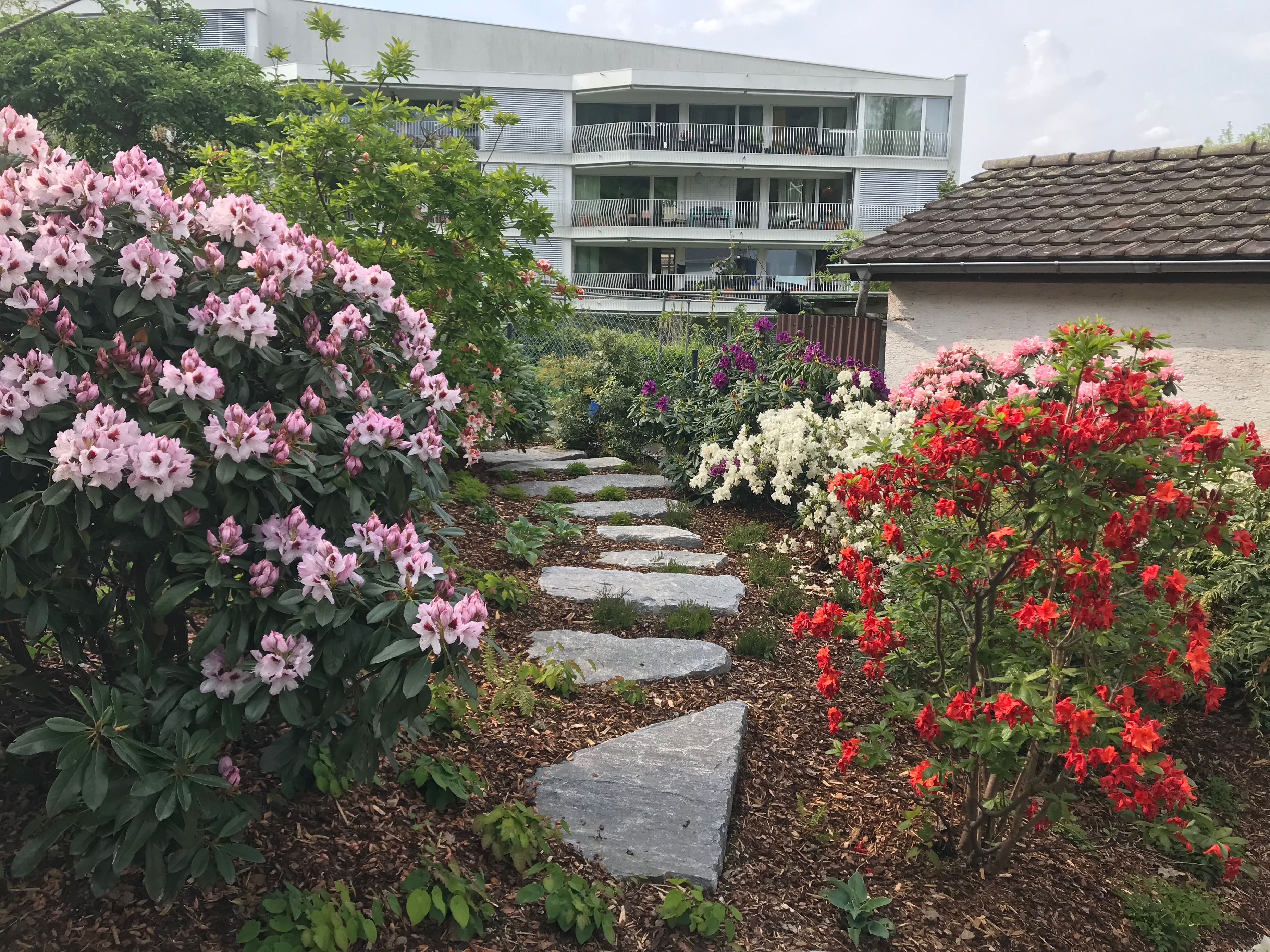 Bilder Hofstetter Gartenbau GmbH
