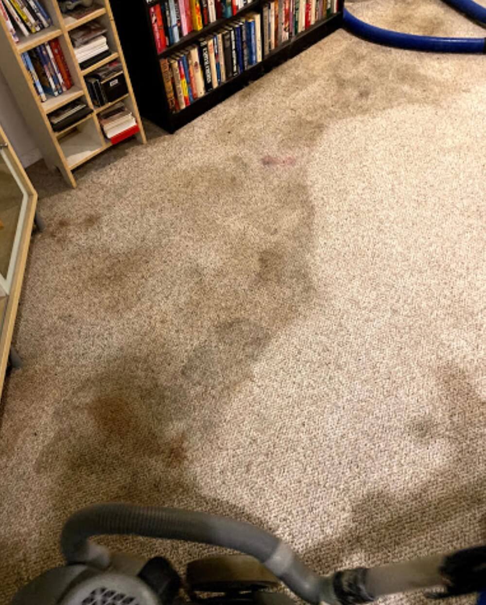 Before & After Carpet Cleaning