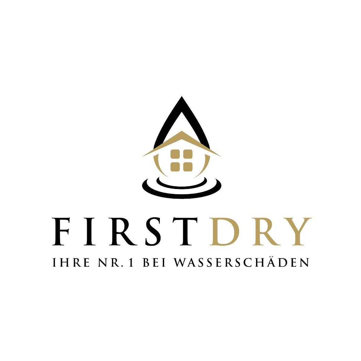 FIRSTDRY AG Logo