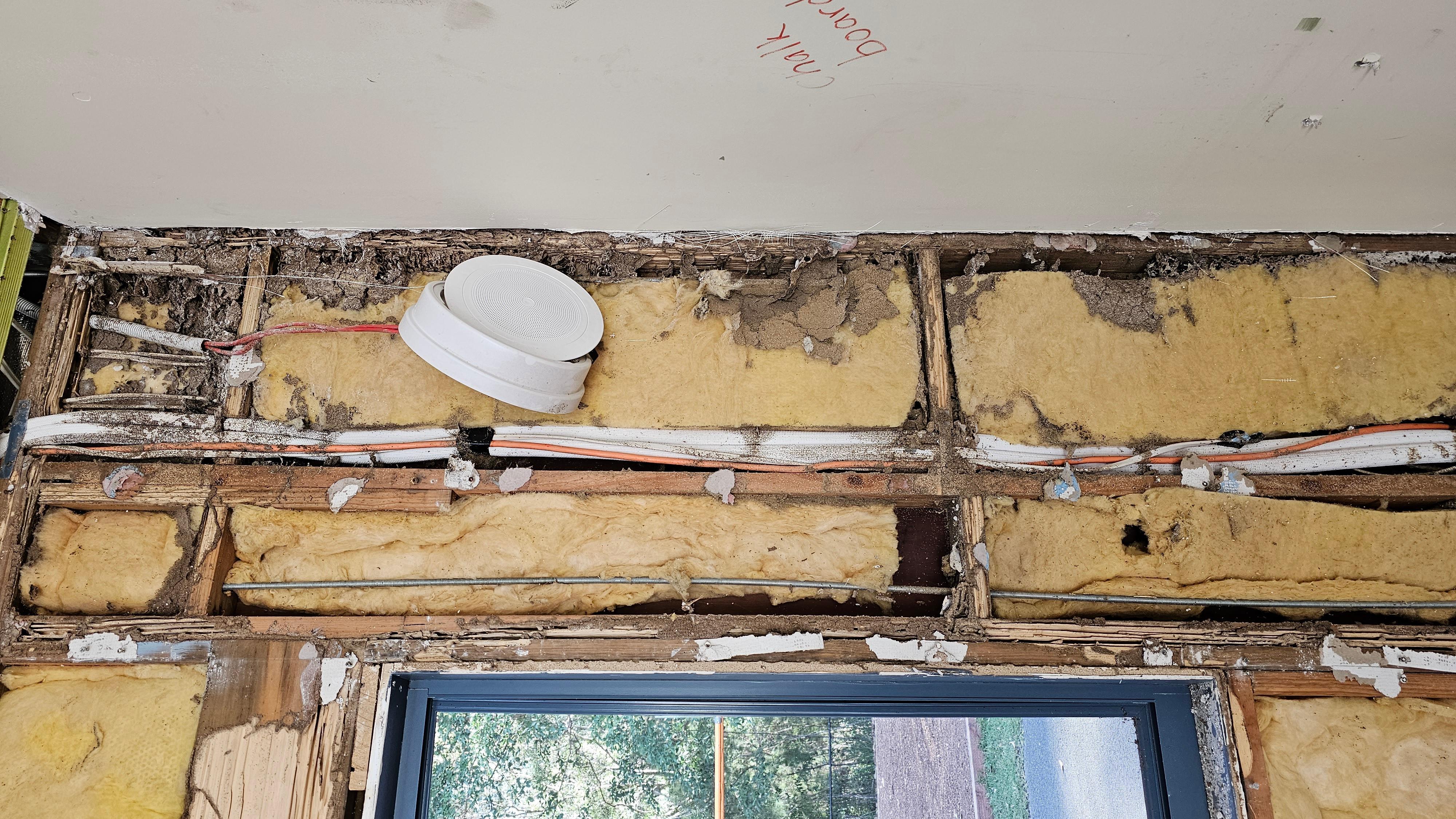 Images GC Pest Control Gold Coast